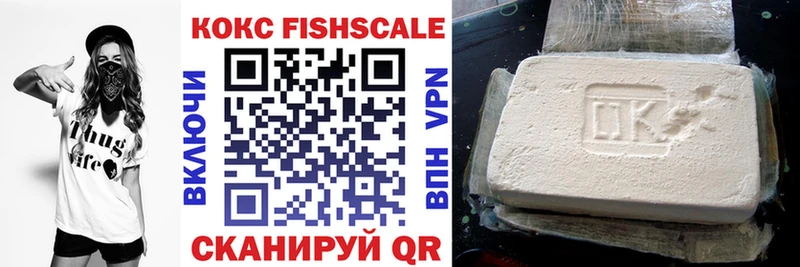 где купить наркоту Катав-Ивановск COCAIN Fish Scale