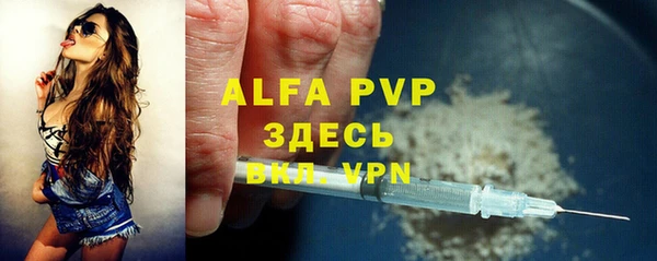 гидра Арсеньев