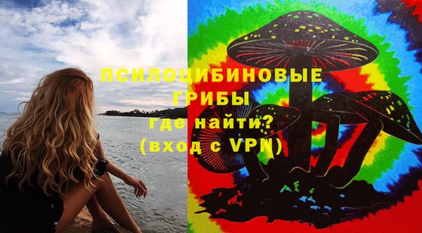 гидра Арсеньев