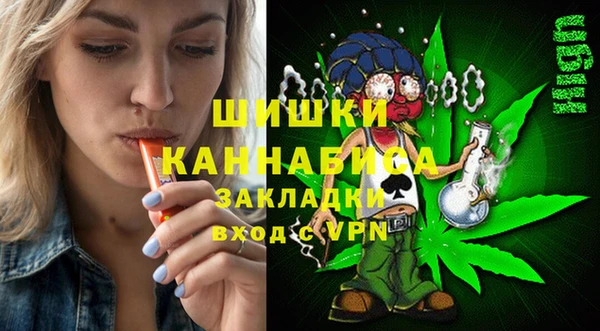 шишки Балахна