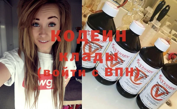 гидра Арсеньев
