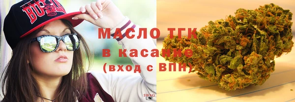 гидра Арсеньев